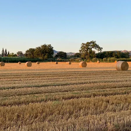 Ca Baruffa SantʼArcangelo di Romagna