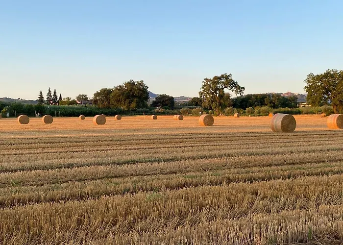 Ca Baruffa SantʼArcangelo di Romagna